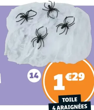 Toile + 4 araignées
