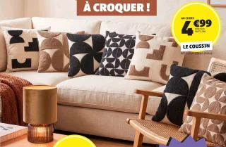Le coussin