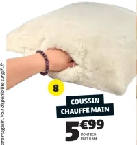 Coussin chauffe main