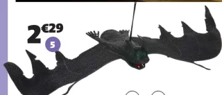 Chauve souris
