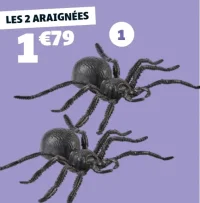 2 Araignées