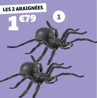 2 Araignées