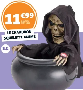 LE CHAUDRON SQUELETTE ANIMÉ