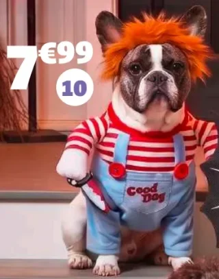 DÉGUISEMENT CHIEN CHUCKY