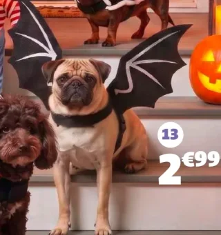 DÉGUISEMENT CHAUVE-SOURIS