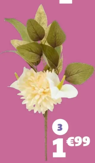Piquet chrysanthèmes et arums GiFi