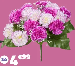 Piquet oeillets et gypsophyle