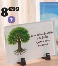 Plaque funéraire (Tu as rejoint les étoiles)