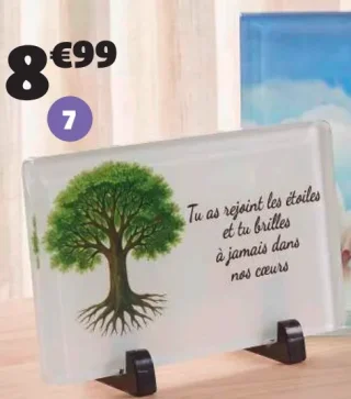Plaque funéraire (Tu as rejoint les étoiles)
