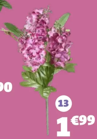 Piquet lilas 5 têtes
