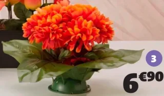 Coussin chrysanthèmes 13 têtes