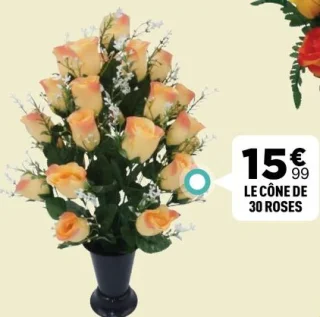 LE CÔNE DE 30 ROSES