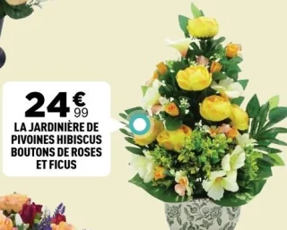 LA JARDINIÈRE DE PIVOINES HIBISCUS BOUTONS DE ROSES ET FICUS