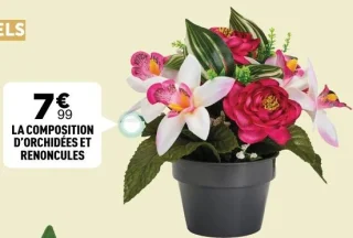 La composition d'orchidées et renoncules