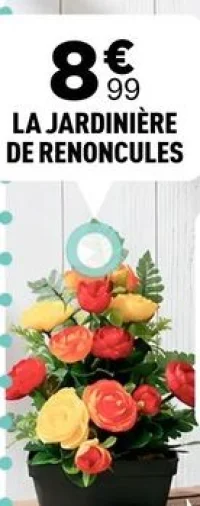 La Jardinière de Renoncules