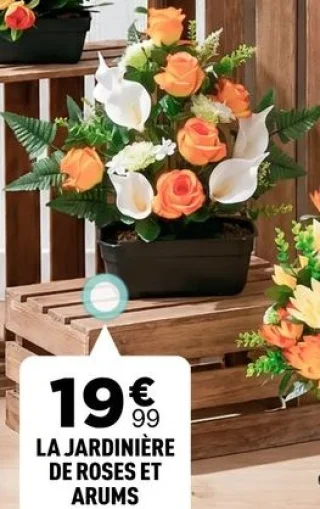 La Jardinière de Roses et Arums