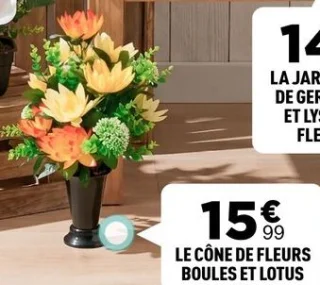 Le Cône de Fleurs Boules et Lotus