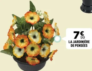 La jardinière de pensées