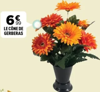 Le cône de gerberas