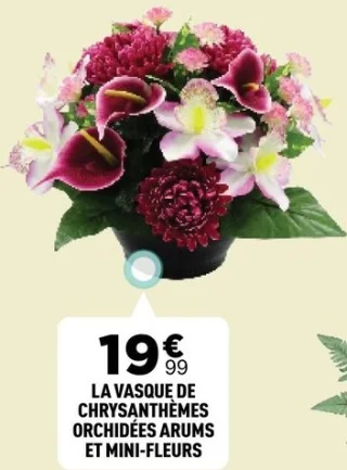 La vasque de chrysanthèmes orchidées arums et mini-fleurs