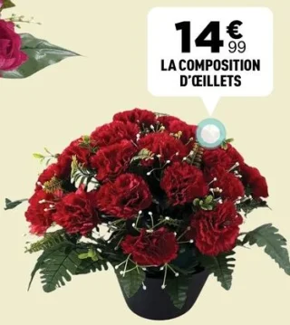 La composition d'œillets