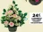 Promo LA JARDINIÈRE DE ROSES PENSÉES CHARDON ET FEUILLES DE ROSIER
