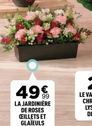 LA JARDINIÈRE DE ROSES ŒILLETS ET GLAÏEULS