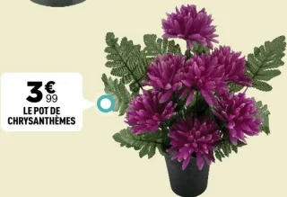 Le pot de chrysanthèmes