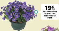 LA COMPOSITION DE VIOLETTES AVEC GOUTTES D'EAU