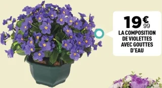 LA COMPOSITION DE VIOLETTES AVEC GOUTTES D'EAU