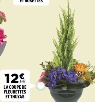 La coupe de fleurettes et thuyas