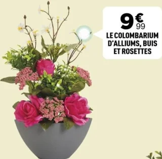 Le colombarium d'alliums, buis et rosettes