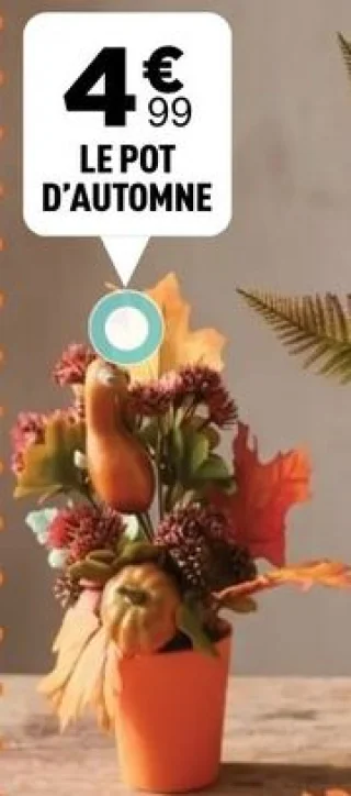 Le pot d'automne