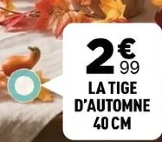 La tige d'automne 40 cm