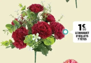 LE BOUQUET D'ŒILLETS 7 TÊTES