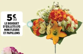 Le Bouquet d'Œillets Lys Mini Fleurs et Papillons