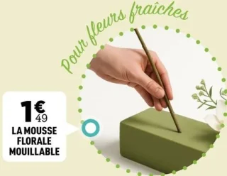 La mousse florale mouillable
