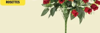 Le bouquet de rosettes