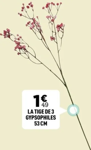 La tige de 3 gypsophiles 53 cm