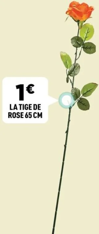 La tige de rose 65 cm