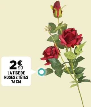 La tige de roses 2 têtes 76 cm