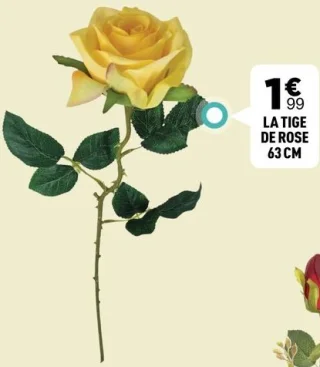 La tige de rose 63 cm