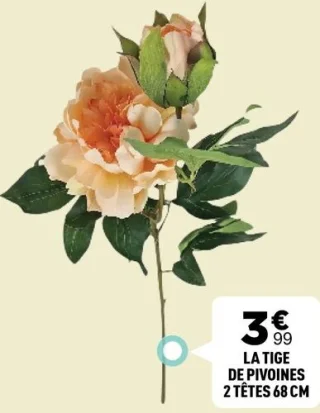 La tige de pivoines 2 têtes 68 cm