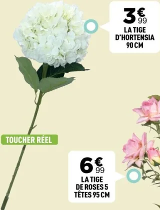 La tige d'hortensia 90 cm