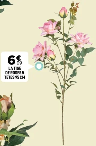 La tige de roses 5 têtes 95 cm