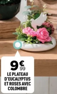 Le plateau d'eucalyptus et roses avec colombre