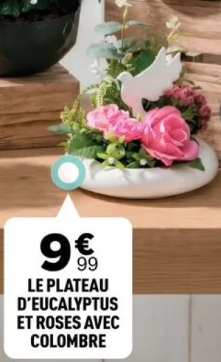 Le plateau d'eucalyptus et roses avec colombre