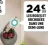 Promo Les roses et orchidées dans une demi-lune