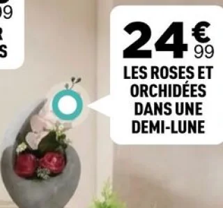 Les roses et orchidées dans une demi-lune