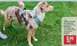 ROMÉO® HARNAIS CHIEN